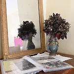 Les Hélianthèmes Guchen